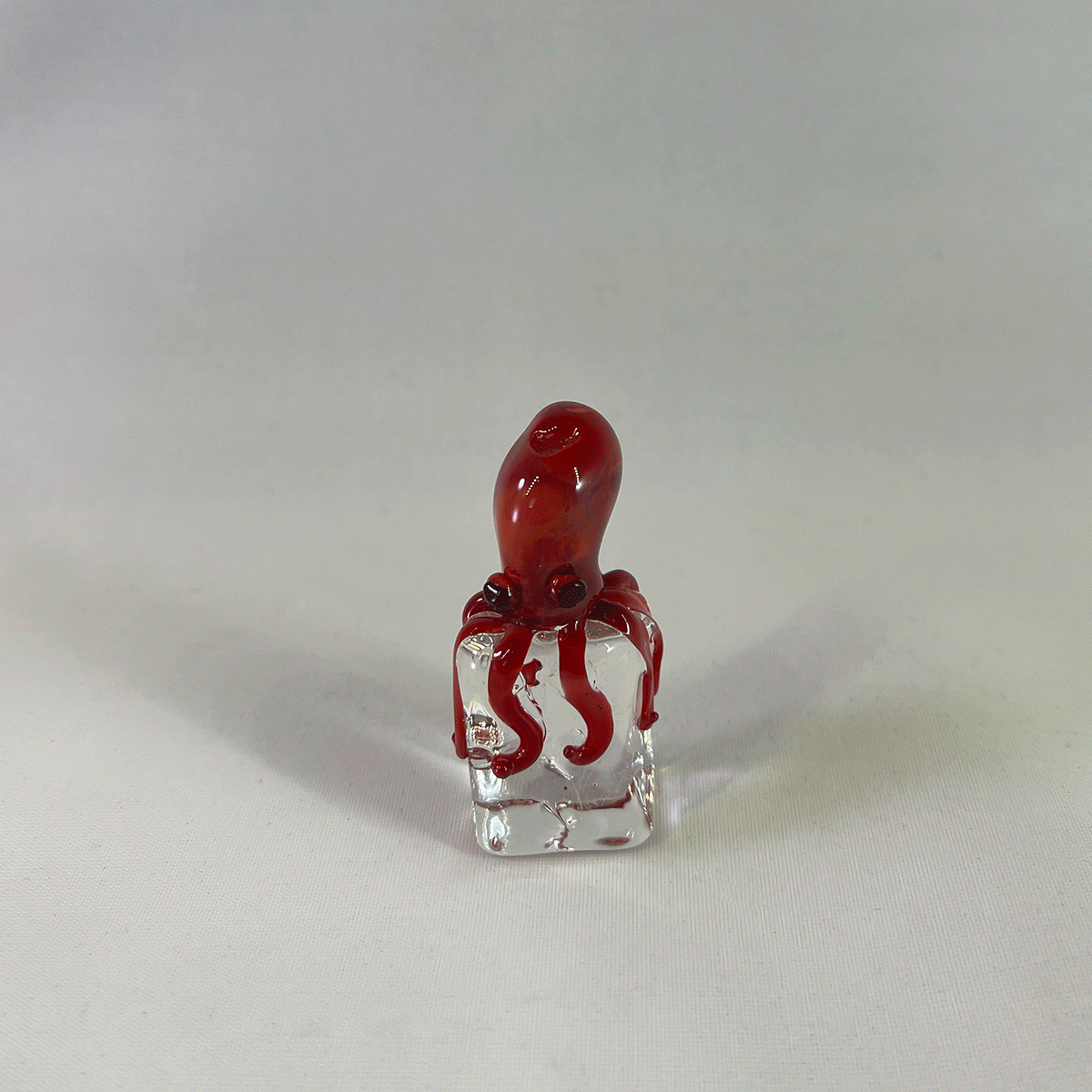 Portfolio item image