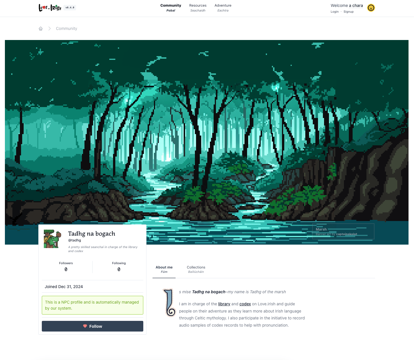 Screenshot of a profile for a NPC character