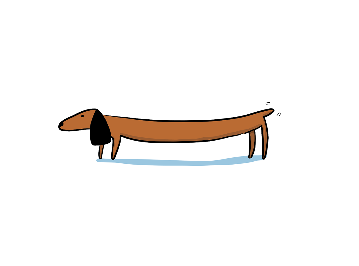 Illustration of DocSend's mascot, a dachshund, based on Picasso's famous sketch of a dog